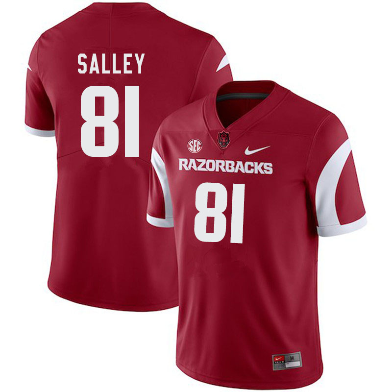 Men #81 Jackson Salley Arkansas Razorbacks College Football Jerseys-Cardinal